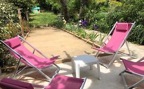 Aniane Maison Renovee avec Jardin et Boulodrome